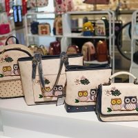 túi xách vầ balo benbo bear